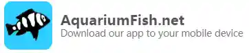  Aquarium Fish Promo Codes